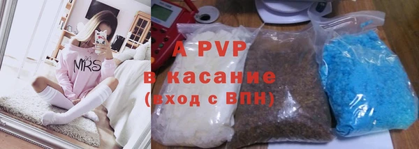 гашик Семилуки