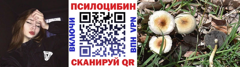 Псилоцибиновые грибы ЛСД  Купить  Керчь 